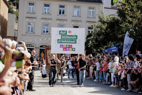 Der Festumzug des »Tages der Sachsen« 2025